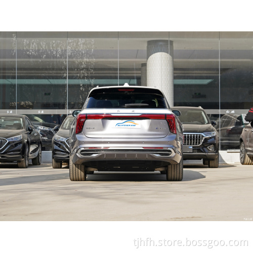 Hongqi E-Hs9 660Km 4 Seat 690Km 6 Seat Top Version Chinese Suv Electric Car